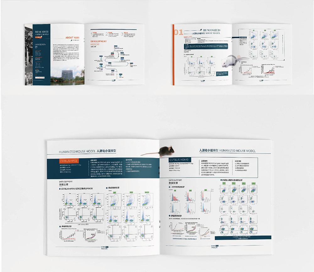 模型企業(yè)畫冊設(shè)計(jì),模型企業(yè)畫冊設(shè)計(jì)公司